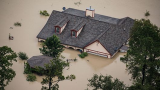 Illustration for article titled Water Damage Removal Tips After A Hurricane